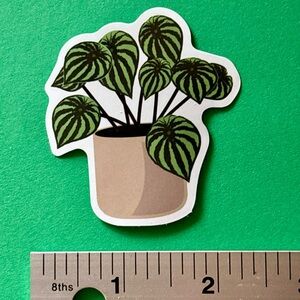 10/$10 Plant Aesthetic Sticker Waterproof  Vinyl Water Bottle Laptop Scrapbook